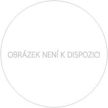 Otevřete Nejkrásnější medailon I. Nové Město pražské - 1 kg Ag Proof-like