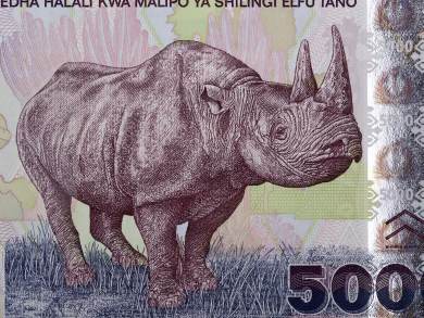 30 EGP