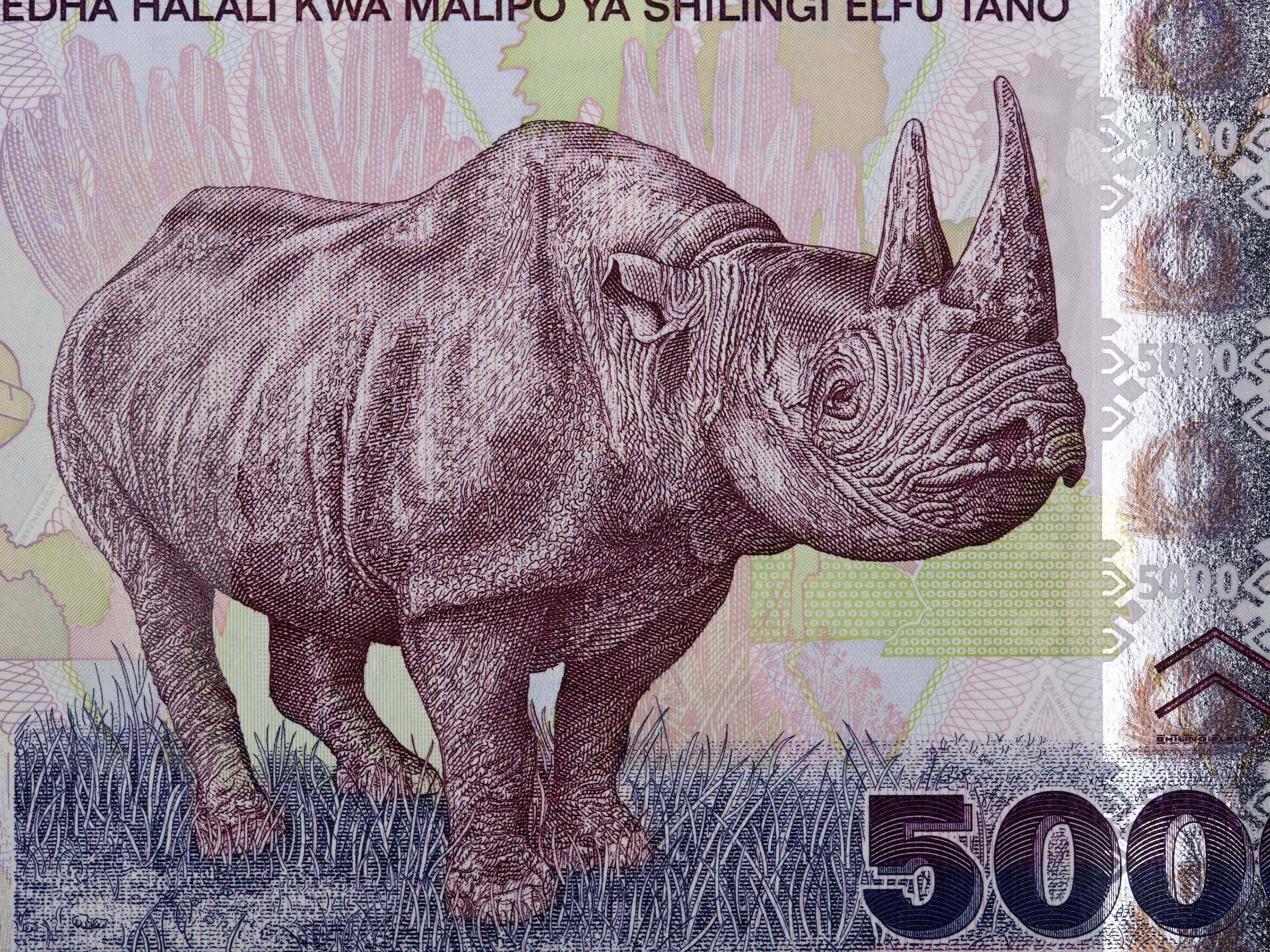 30 EGP