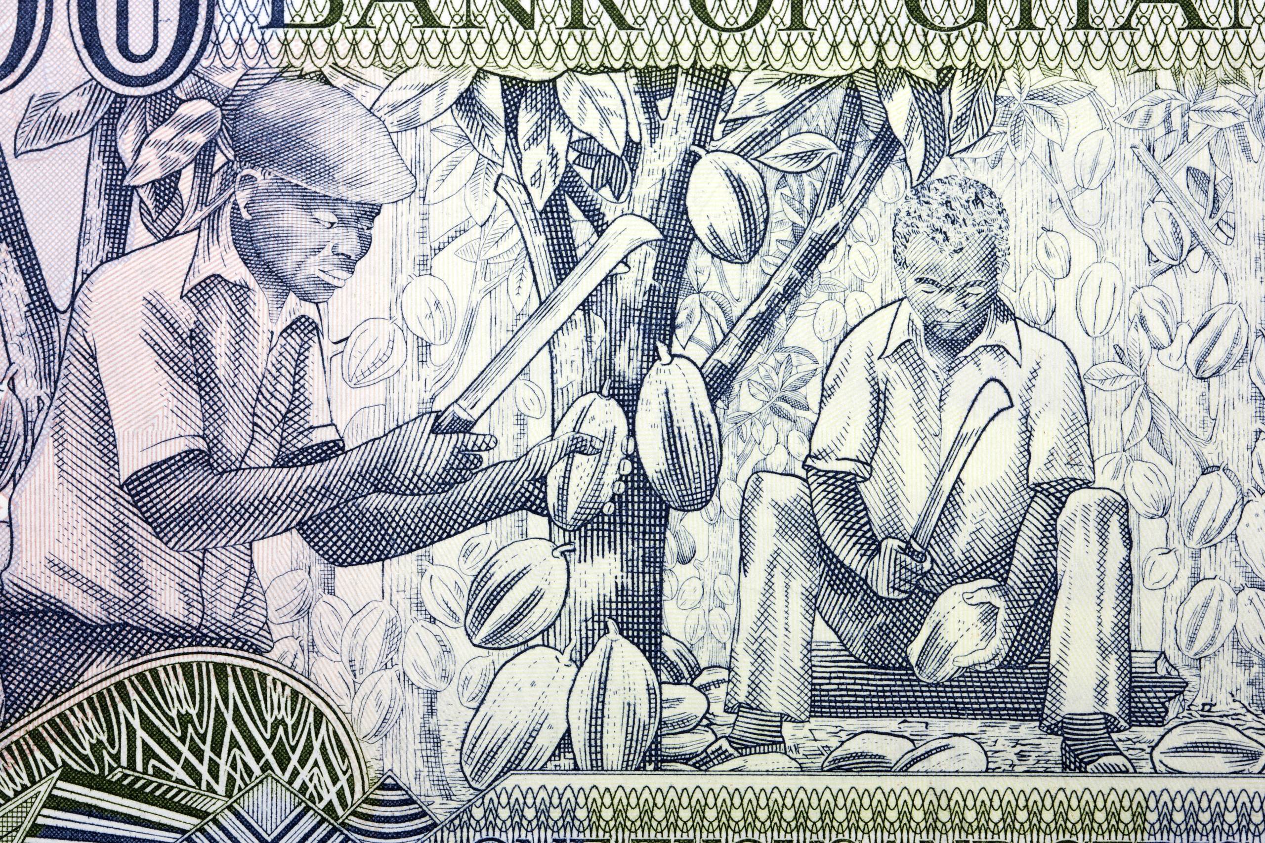 65 USD