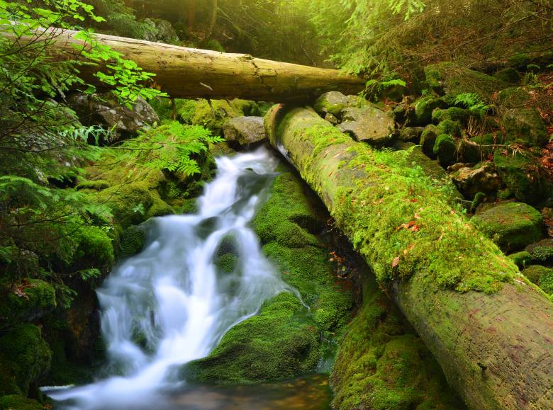 Krása české krajiny