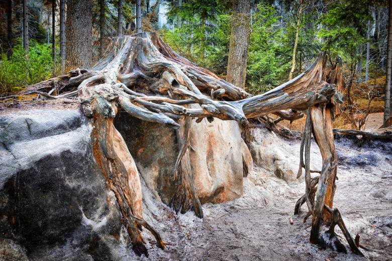 Krása české krajiny