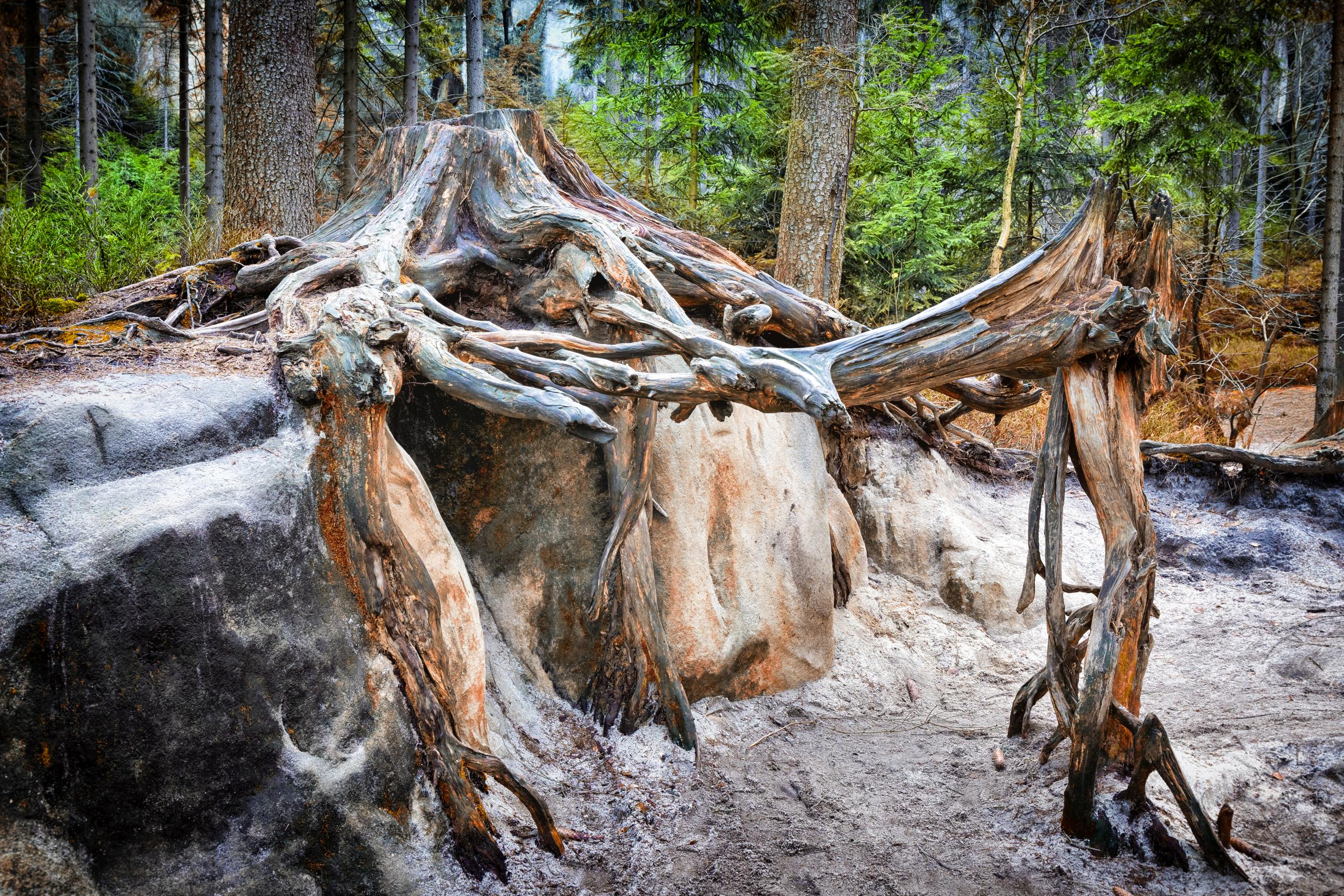 Krása české krajiny