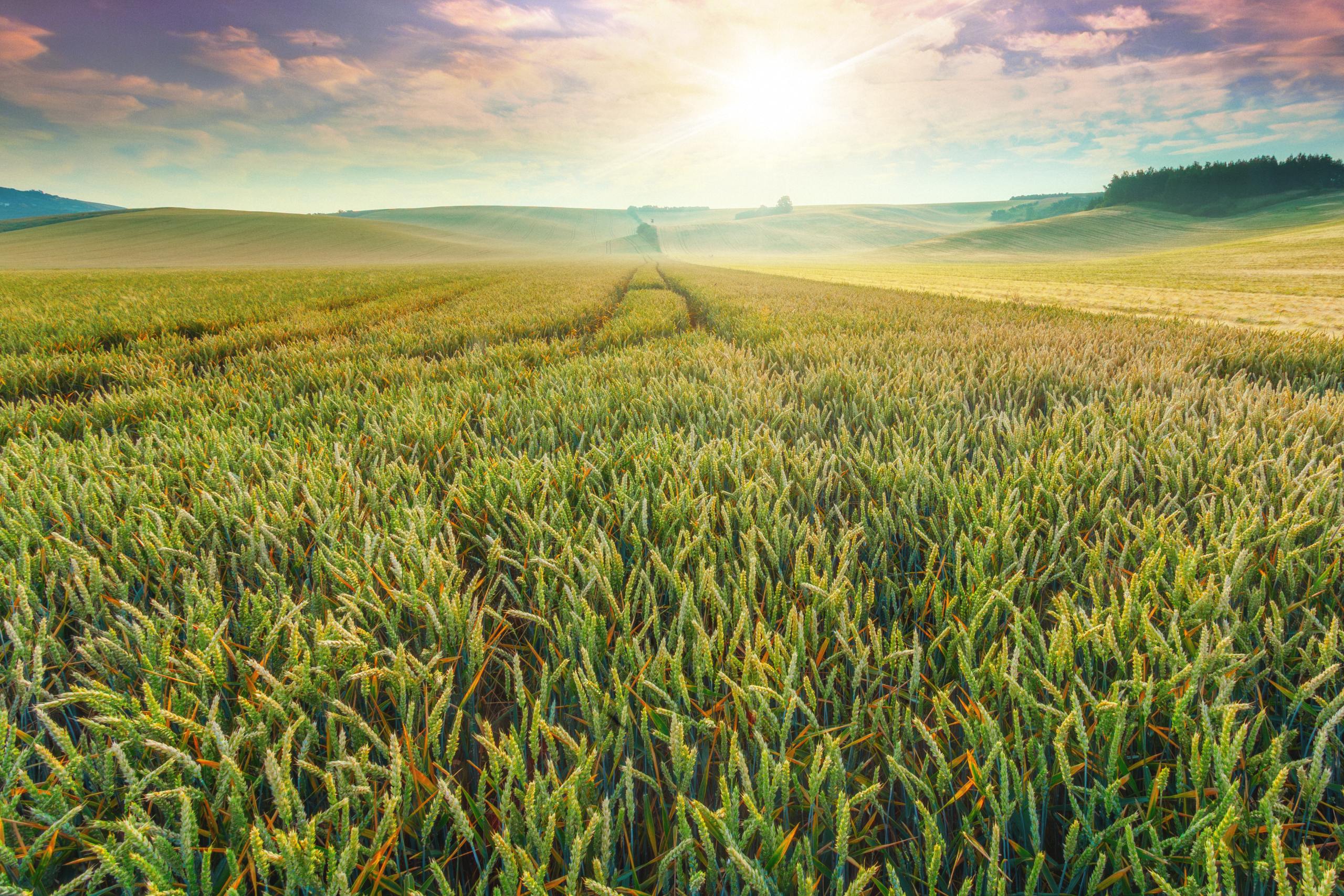 Krása české krajiny