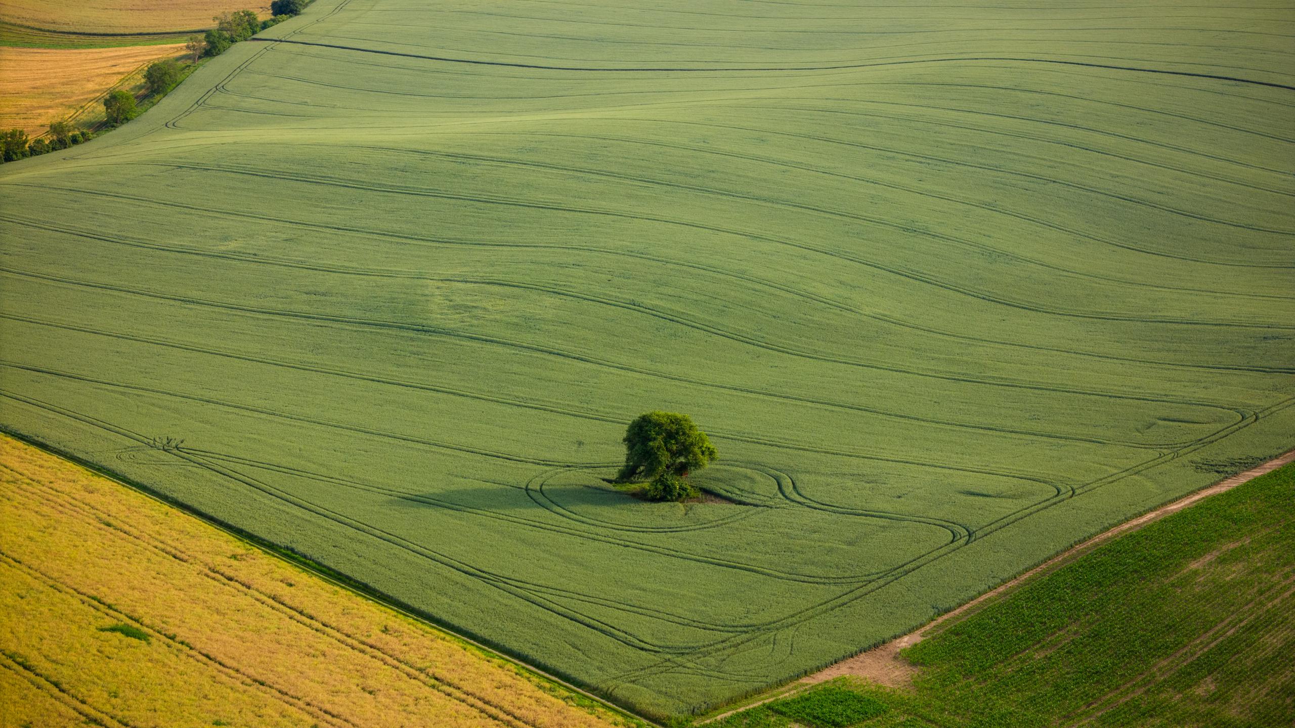 Krása české krajiny