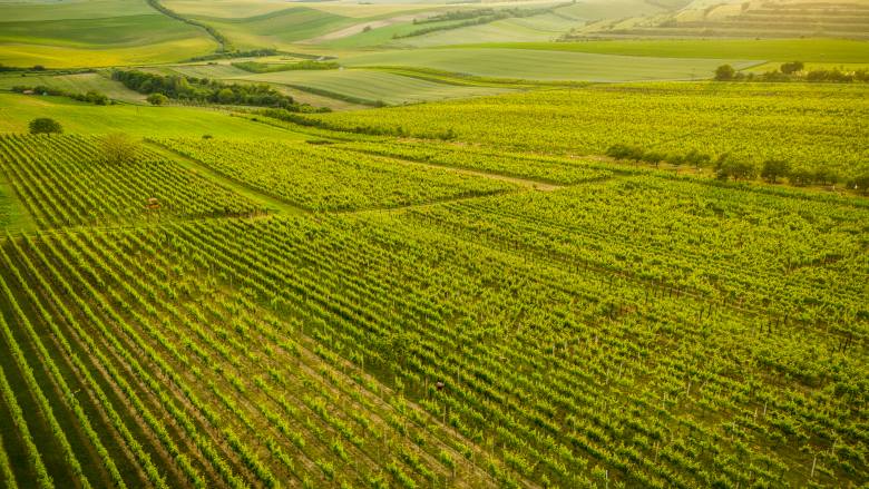 Krása české krajiny