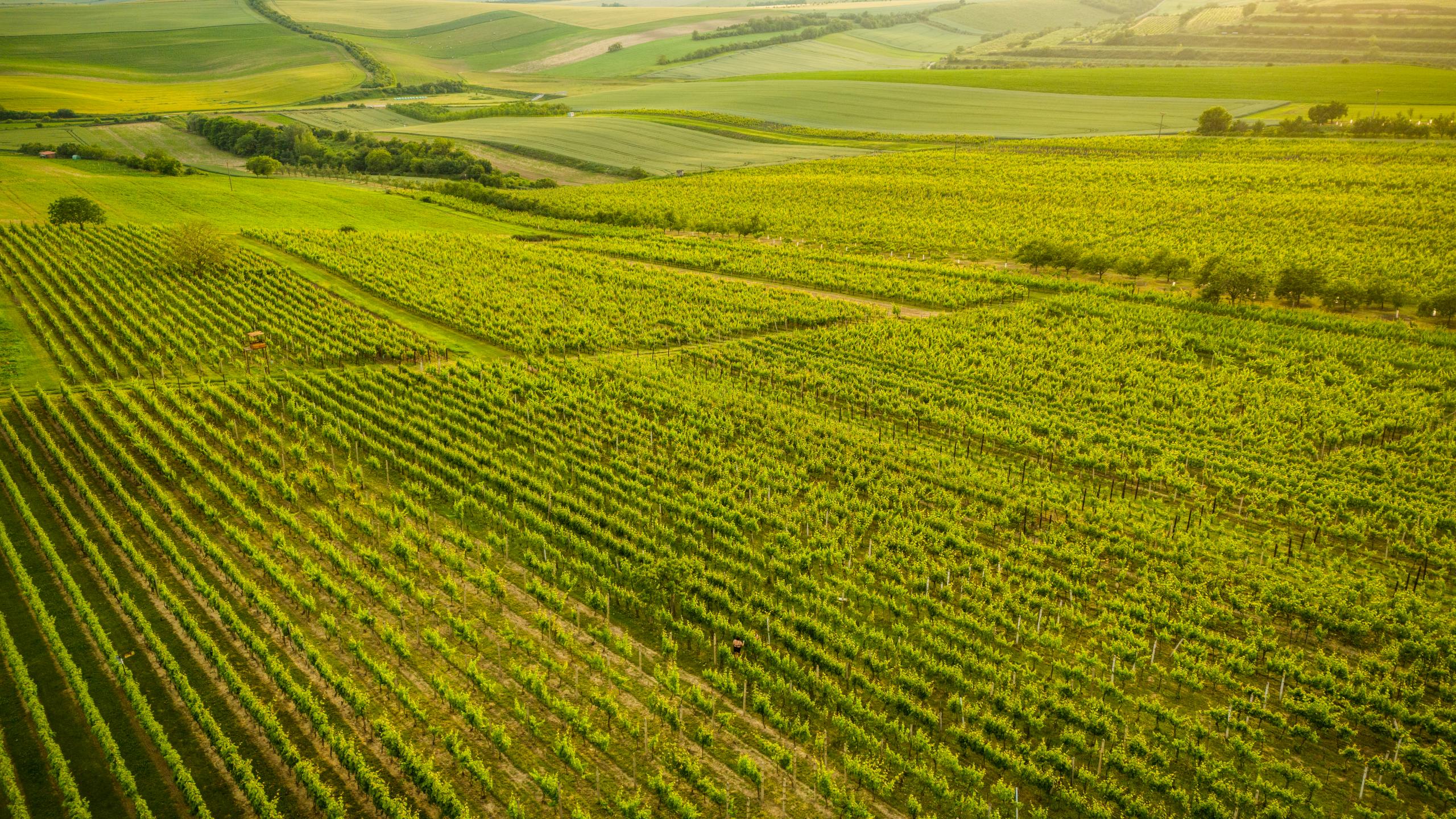 Krása české krajiny