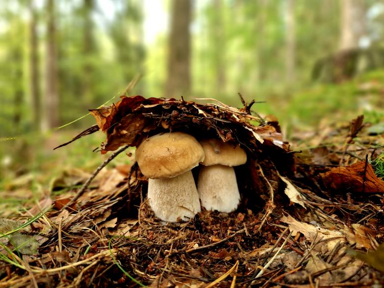 Krása české krajiny