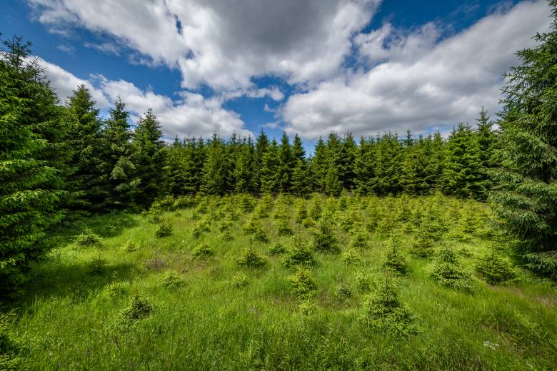 Krása české krajiny