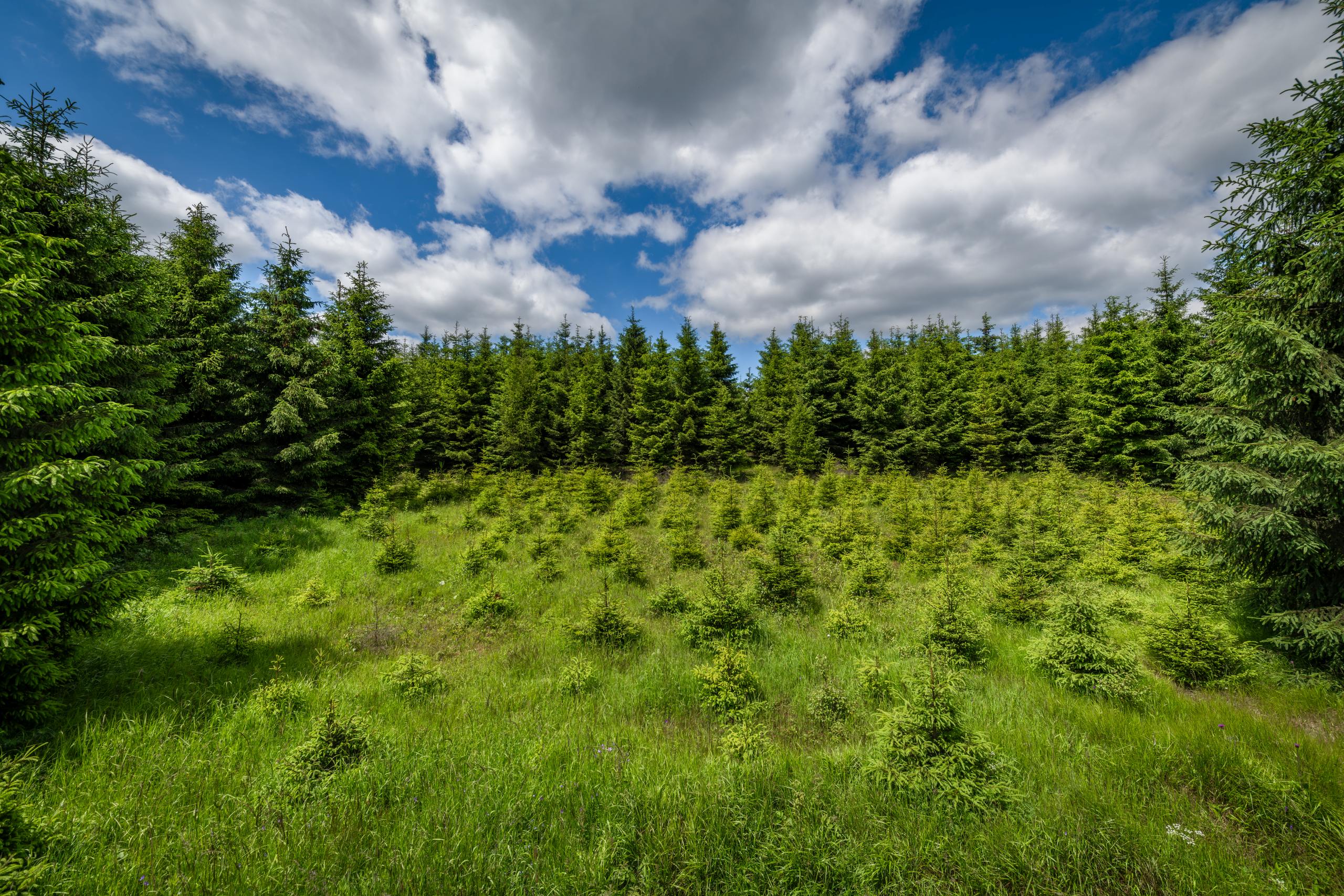 Krása české krajiny