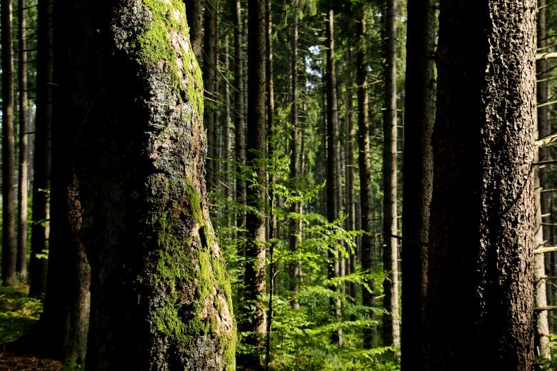 Krása české krajiny