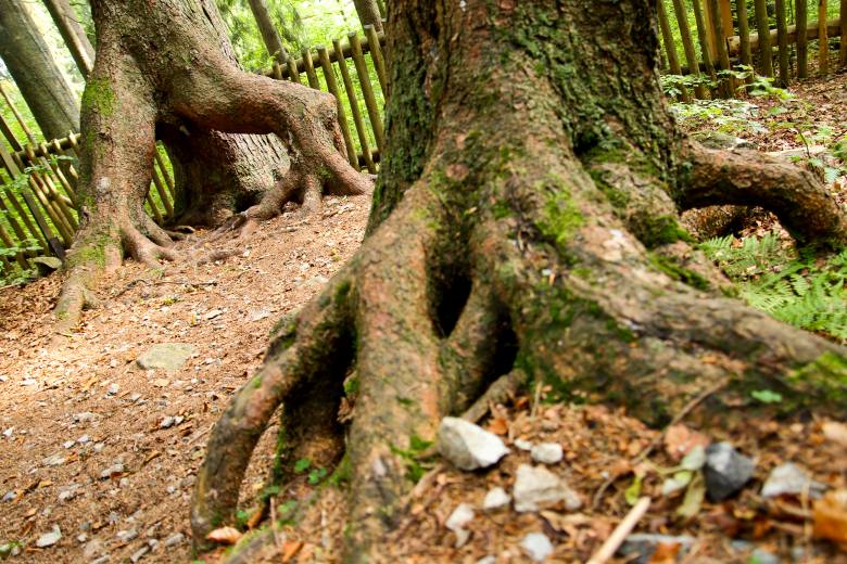 Krása české krajiny