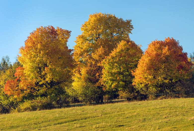 Krása české krajiny