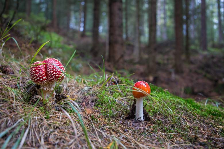 Krása české krajiny