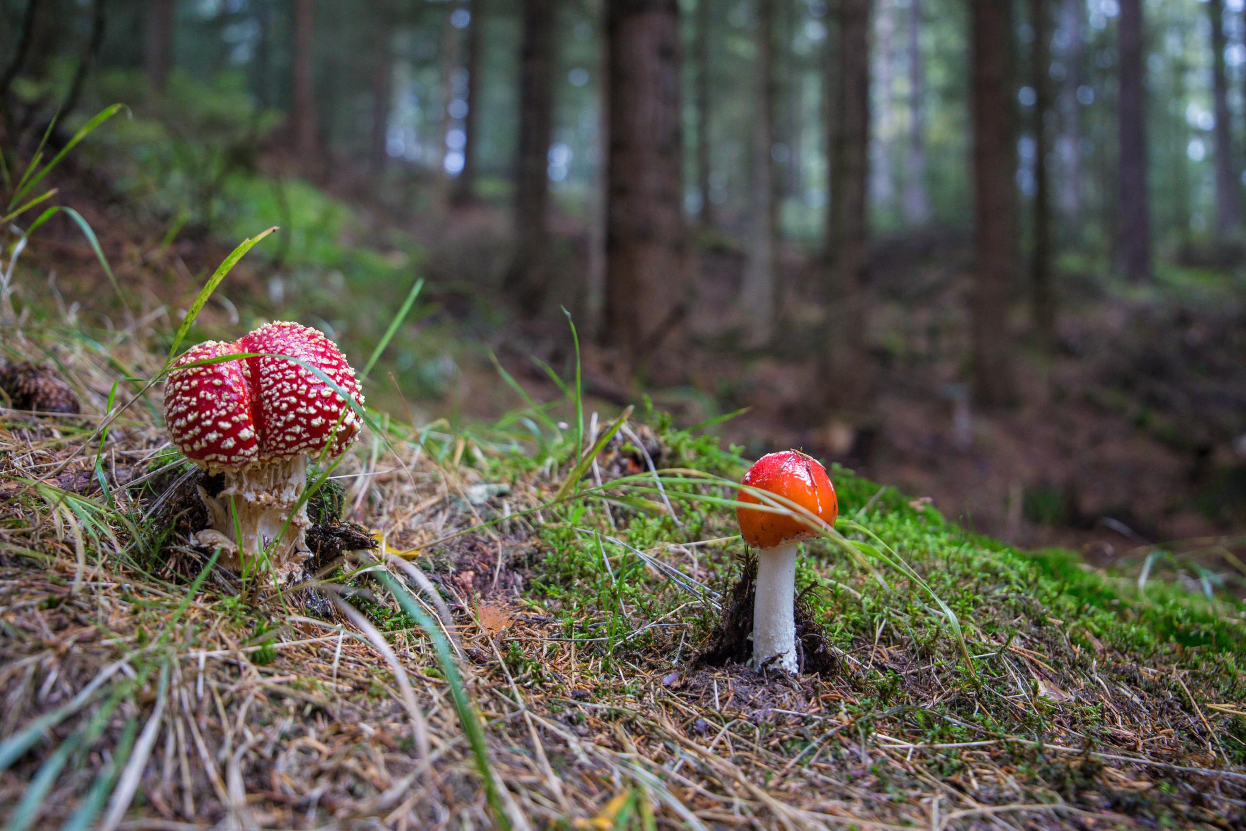 Krása české krajiny