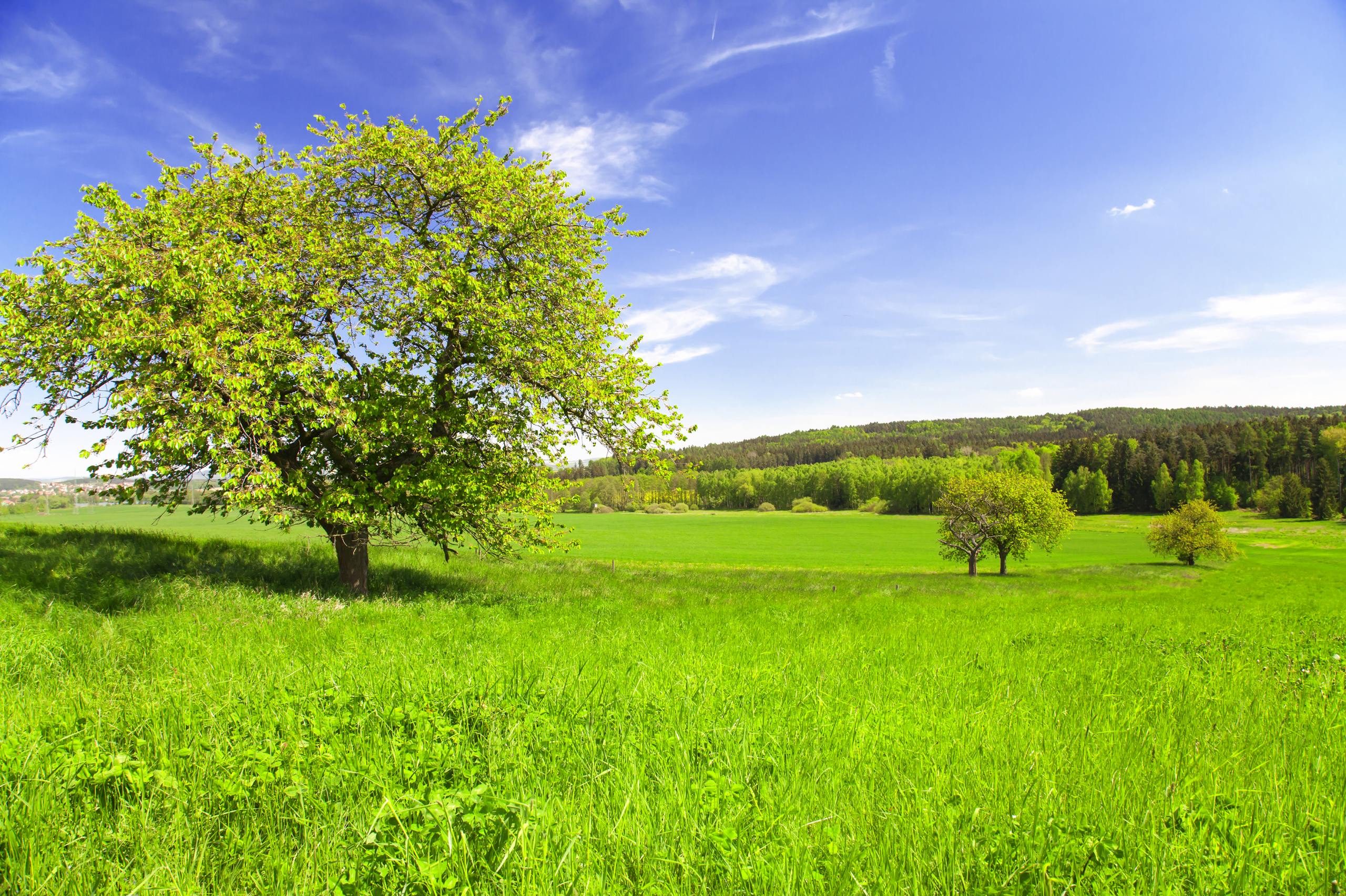 Krása české krajiny