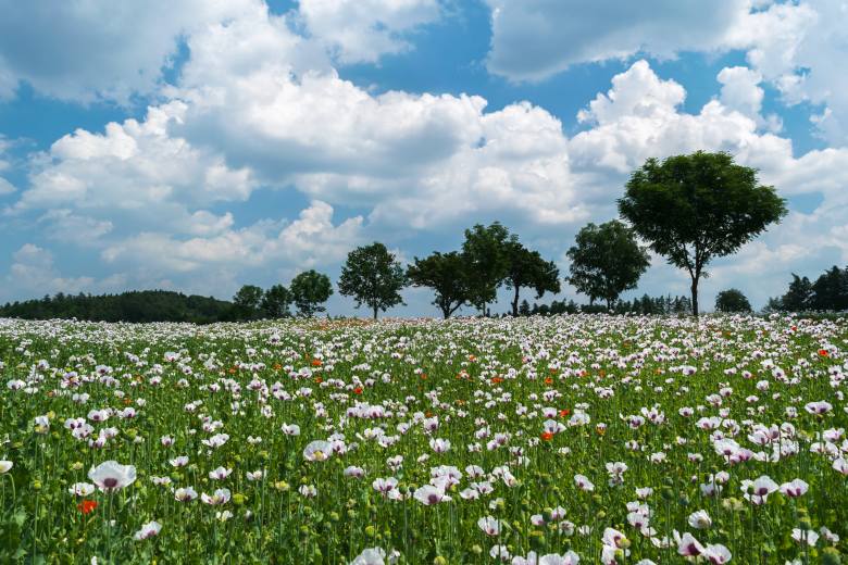 Krása české krajiny