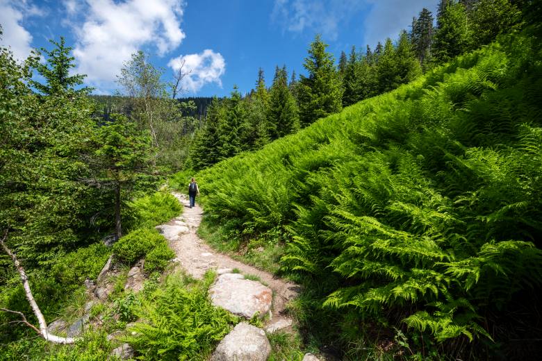 Krása české krajiny