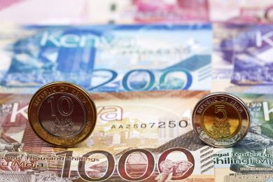Fiala zahájil česko-keňské obchodní fórum, vidí možnosti v obraně či energetice