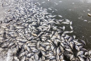 Ředitel firmy obžalované z otravy Bečvy odmítl vinu, stejně jako její zmocněnec