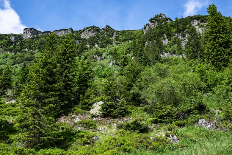 Schustlerovu zahrádku v Krkonoších mění oteplování, přibývá vegetace