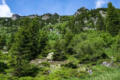 Schustlerovu zahrádku v Krkonoších mění oteplování, přibývá vegetace