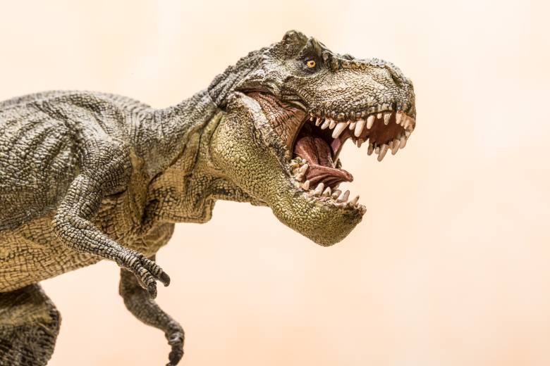 Vědci představili kabelku z kolagenu vytvořeného z fosilie Tyrannosaura rexe