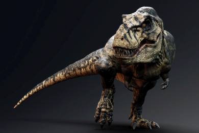 Tyrannosaurus rex do své maximální velikosti dorostl až ve věku 40 let