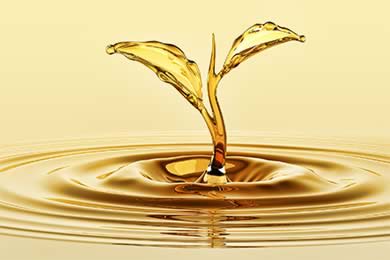 Milada a Radek Bláhovi vytvořili kytici se 118 květinami z ryzího zlata