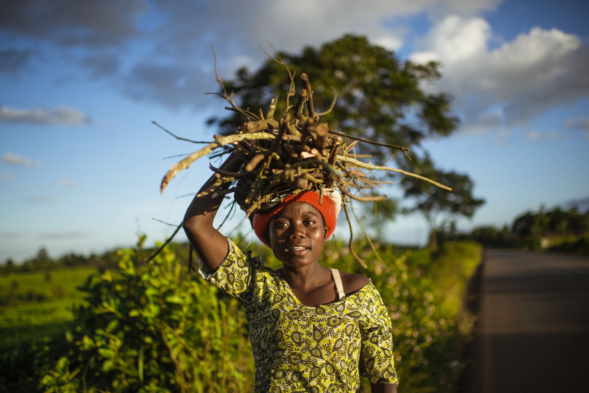  Afrika Alžírsko Kamerun Nigérie právo demografie sociální ženy 