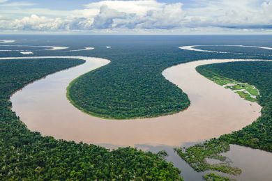 V pěti zemích Amazonie zatkli stovky lidí kvůli environmentální kriminalitě