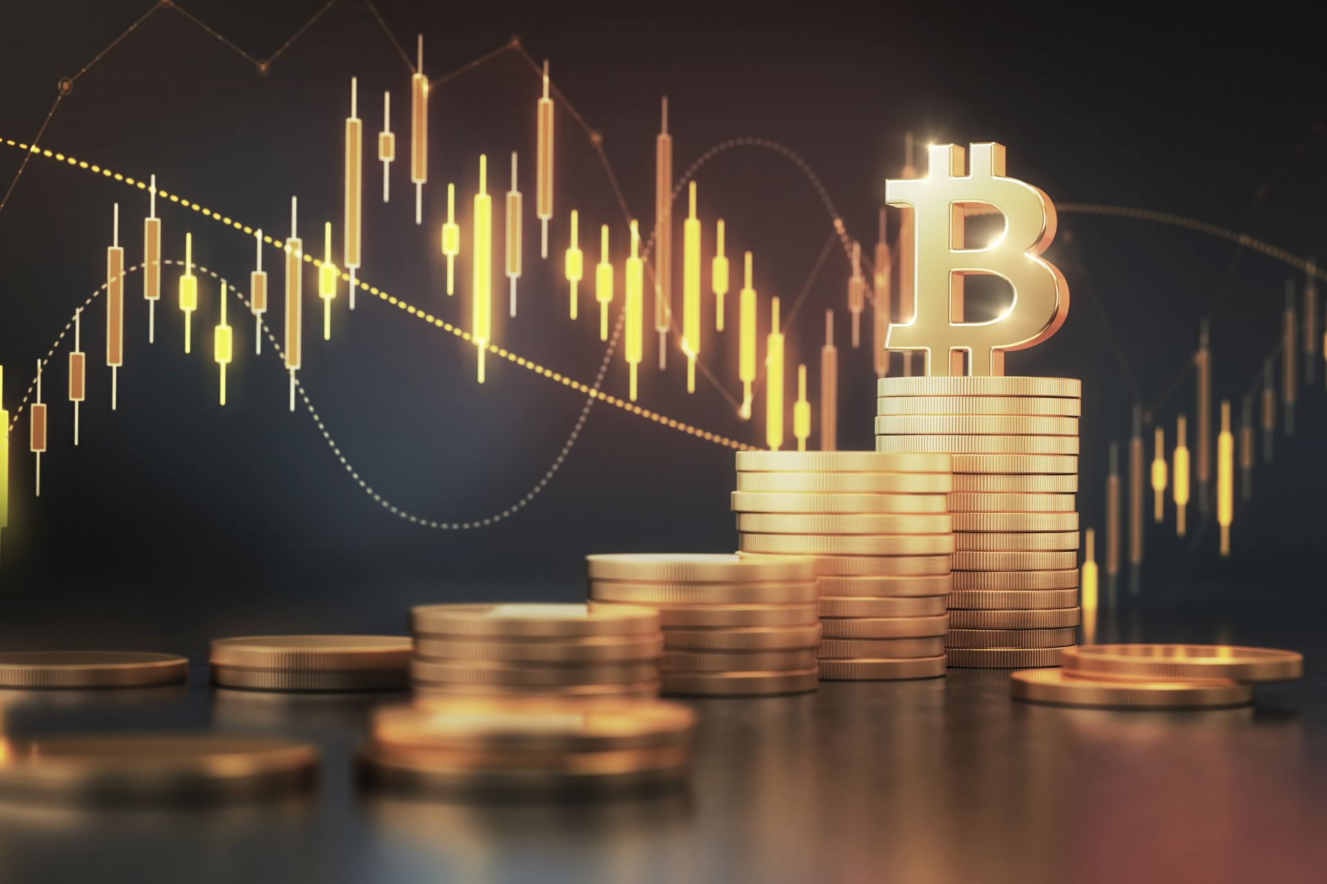 Kauza bitcoinů