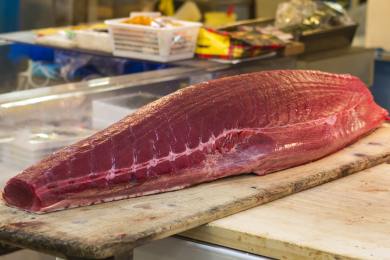Japonský řetězec suši restaurací zaplatil rekordních 67 milionů korun za tuňáka