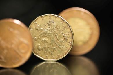 Ceny v průmyslu v Česku klesají už rok, v zemědělství v lednu druhý měsíc v řadě