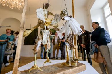 ČR výtvarné Litvínov