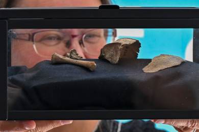 Analýza DNA: Slované mají společný původ mezi dnešním Běloruskem a Ukrajinou