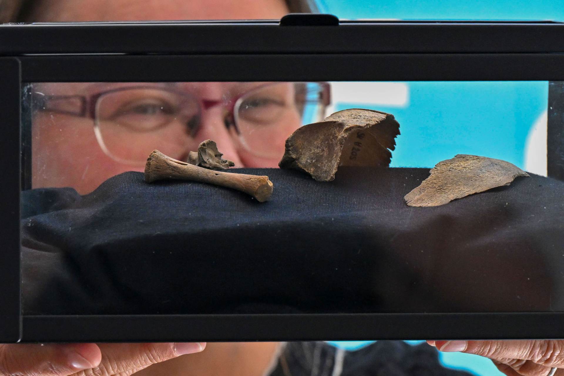 Analýza DNA: Slované mají společný původ mezi dnešním Běloruskem a Ukrajinou