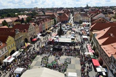 ČR zábava pivo pěstování chmel Žatec