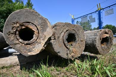 Jihlava postupně opraví pístovské rybníky, z nichž bere pitnou vodu od 14. stol.