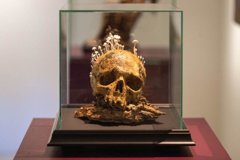 Galerie Středočeského kraje představí práce Eisnerové, Kasalové a Pilaře Galerie Středočeského kraje představí práce Eisnerové, Kasalové a Pilaře