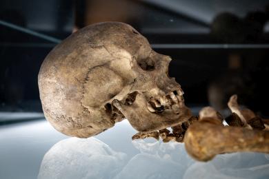 V Pardubicích začíná archeologická výstava, odhaluje nálezy ze silničních staveb