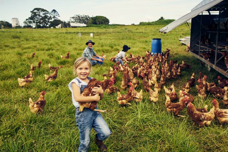 Asociace: Definice rodinných farem sníží byrokracii a podpoří lokální produkci