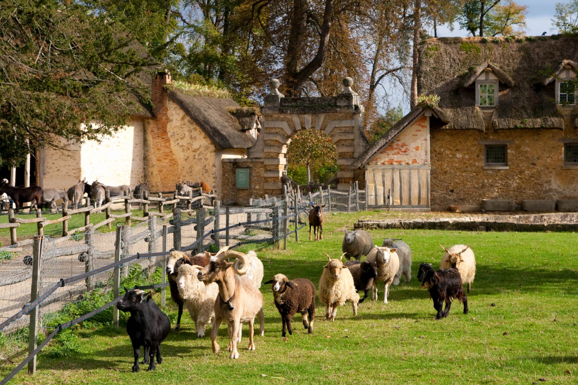 AFP: Na farmě se vězni na konci trestu postupně začleňují do společnosti