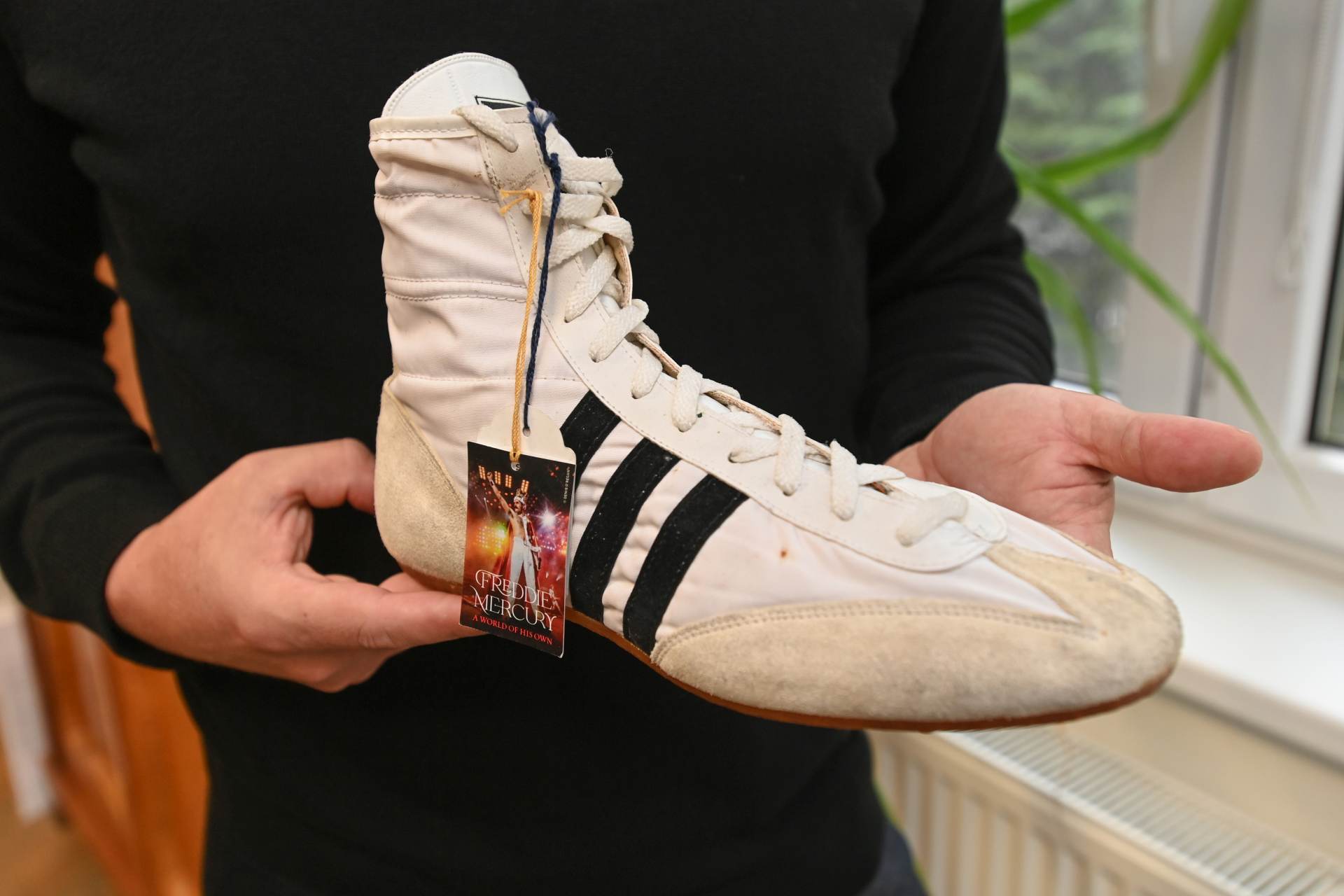 Je to stále koníček, říká jeden z největších sběratelů věcí po Freddiem Mercurym