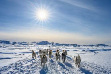 El País: Společná historie Grónska a Dánska za sebou zanechala rány