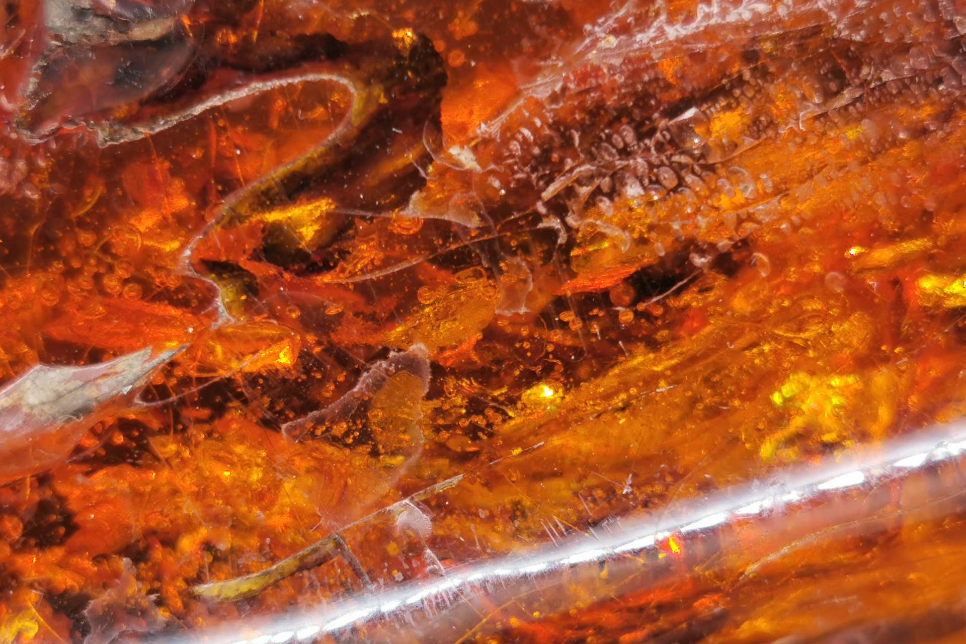 Polští hledači Jantarové komnaty mají povolení k průzkumu bývalého cvičiště SS