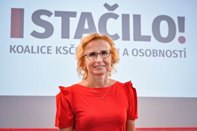 ČR EU volby parlament politologové