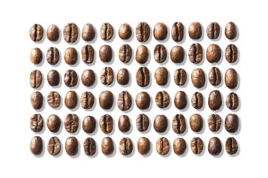 Vědci sestavili rodokmen kávy arabica, je starší než Homo sapiens