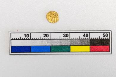 Muzeum v H.Králové představí keltské centrum objevené nedávno na stavbě D35.