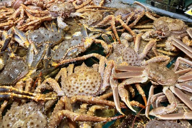 USA příroda věda ovzduší zajímavosti klima